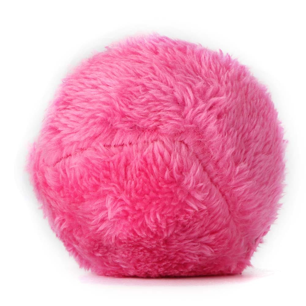 Magic Roller Ball Pet Toy