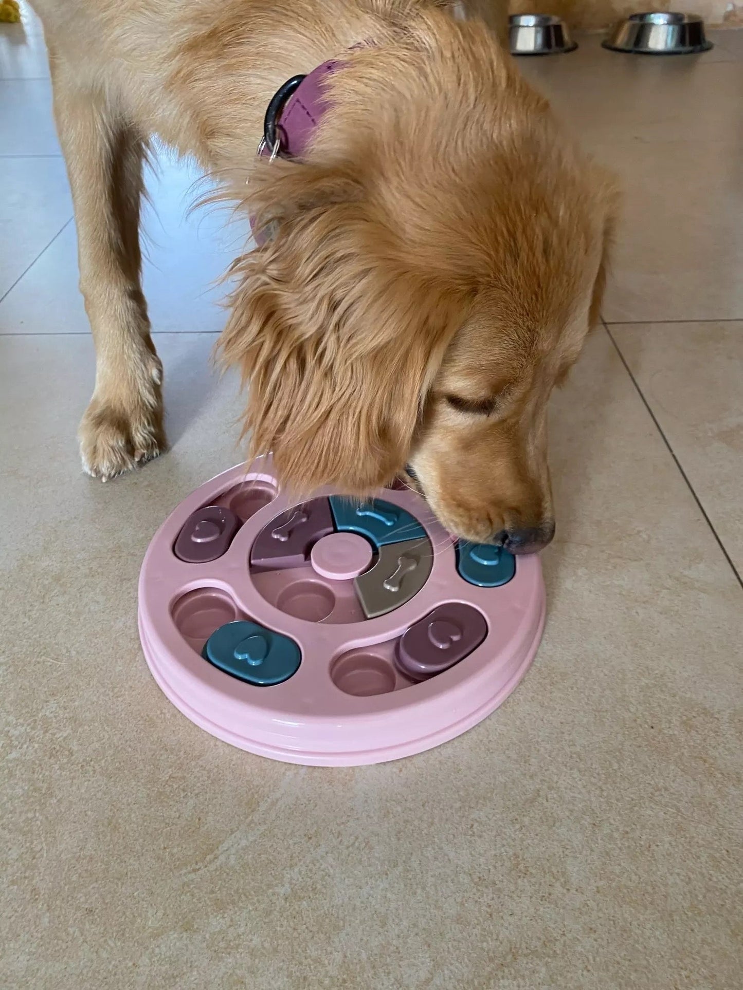 New Interactive IQ Training Pets Slow Feeder Bowl Puzzle