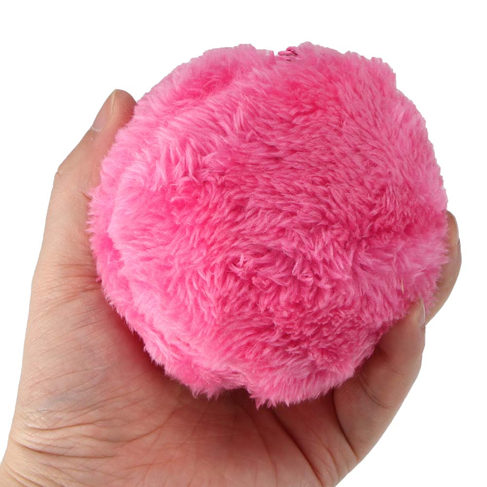 Magic Roller Ball Pet Toy