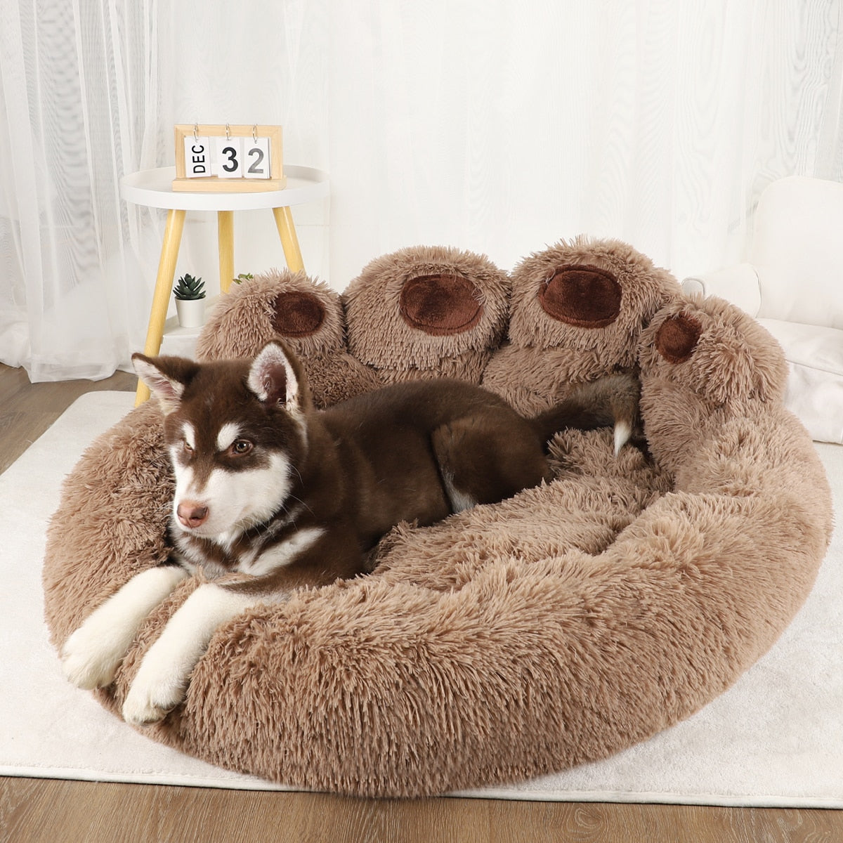 Sofa Beds for Small Dogs Warm Pet Accessories Bed Accessorys Large