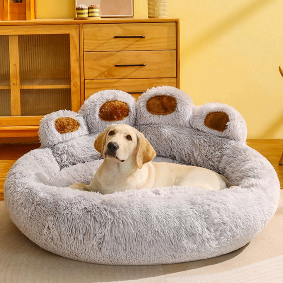 Sofa Beds for Small Dogs Warm Pet Accessories Bed Accessorys Large