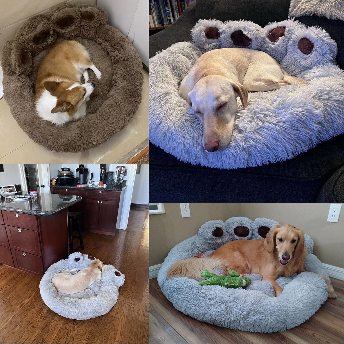 Sofa Beds for Small Dogs Warm Pet Accessories Bed Accessorys Large