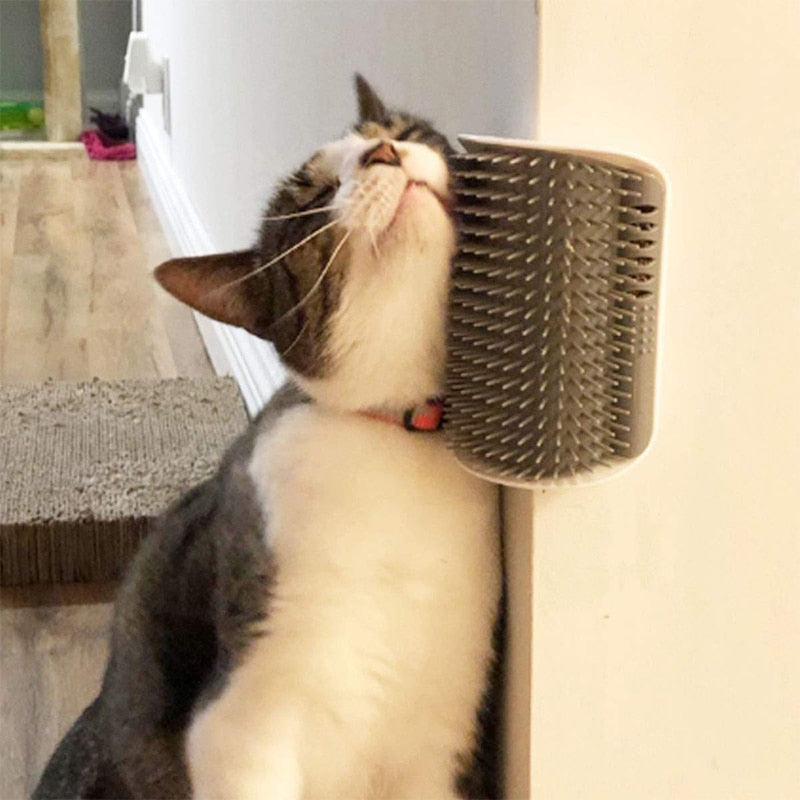 Self-Massage Groomer Scratch Brush Cat