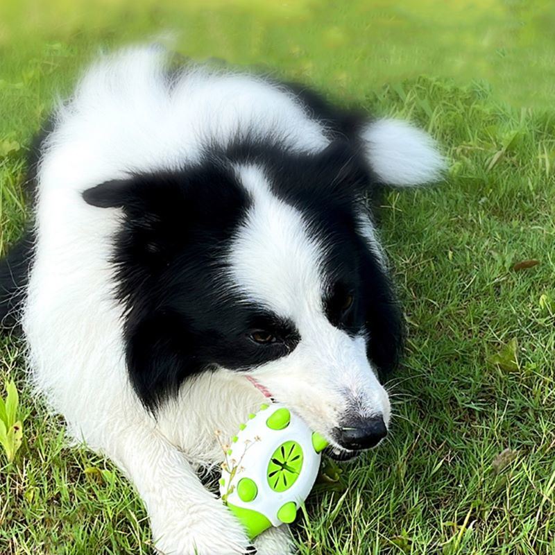 Multi-Functional Dog & Cat Cleaner Supplies Pet Accessories